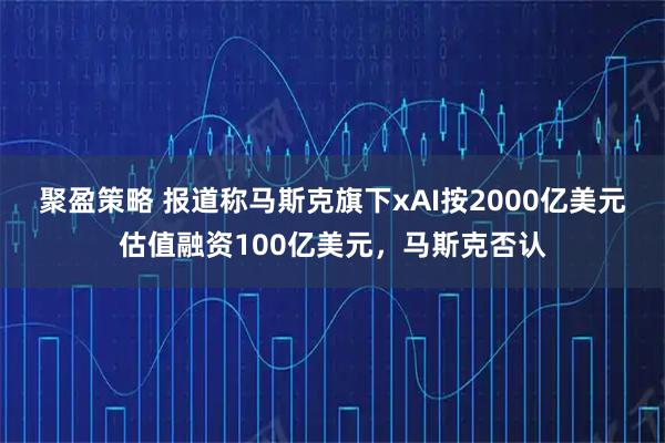 聚盈策略 报道称马斯克旗下xAI按2000亿美元估值融资100亿美元，马斯克否认