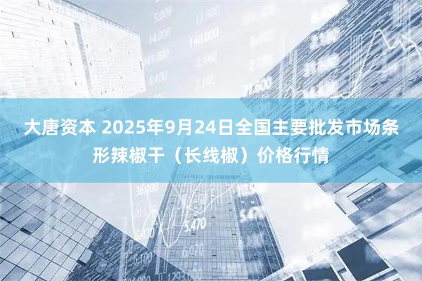 大唐资本 2025年9月24日全国主要批发市场条形辣椒干（长线椒）价格行情