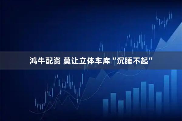 鸿牛配资 莫让立体车库“沉睡不起”