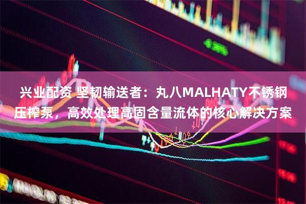 兴业配资 坚韧输送者：丸八MALHATY不锈钢压榨泵，高效处理高固含量流体的核心解决方案