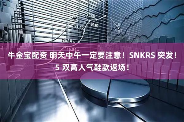 牛金宝配资 明天中午一定要注意！SNKRS 突发！5 双高人气鞋款返场！